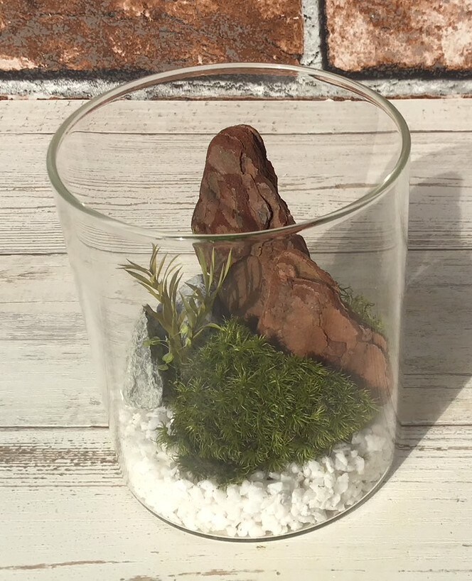 [}C]͂ȂۃeE ۃv8.5cmzCg/pbgiPalettej