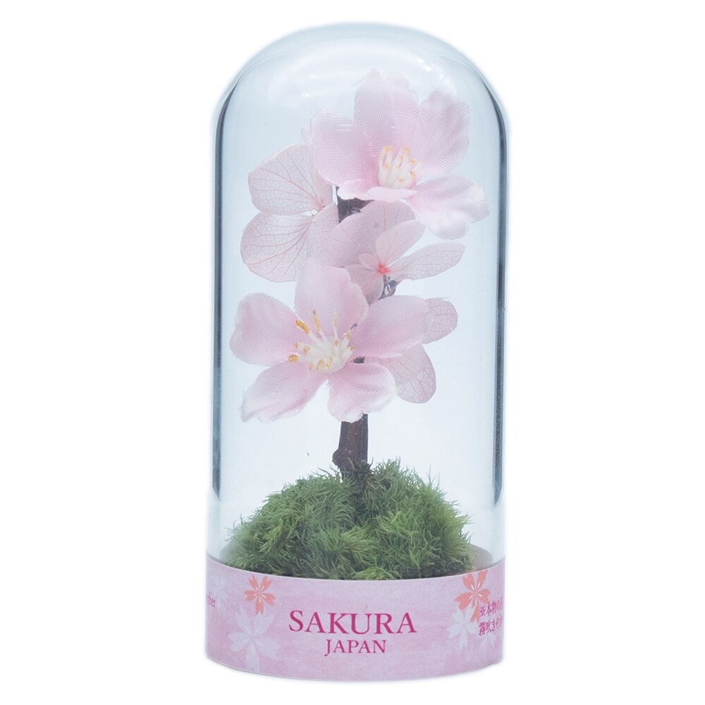 [}C]͂ȂۃeE ۃvKX^Cv/pbgiPalettej