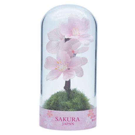 [^:11220KPC]sv̑ۃeEuۃvvB{̑ہiYjɓȕۑHivU[uhHj{āARȕɐF߂iłByȃCeAƂĖ̋Ԃ𒷂y݂܂BӁFvU[uhHî߁A򉻁EސFEώ̌ƂȂ閶␅͐΂ɂȂłBŐGƃO[Fꍇ܂AΌŐ􂢗ƂĂBۂ͎R̉HiƂȂ܂̂ŁA`E{[EFĚ̍܂B܂̎ꏊɂ葼̑ۂ኱荇ꍇ܂Bۂɂ́AyEؕЁE͗tE΁E̕tE܂B\ʂޏꍇ܂BߗށEƋEǎɐFڂ肷鋰ꂪ܂̂ŁAgp̍ۂɂ͏[ӉBR̉HiƂȂ܂̂ŁAۖ{̂ɂ኱܂B̓A[eBtBVt[gpĂ܂BO̓NApbP[WdlłB