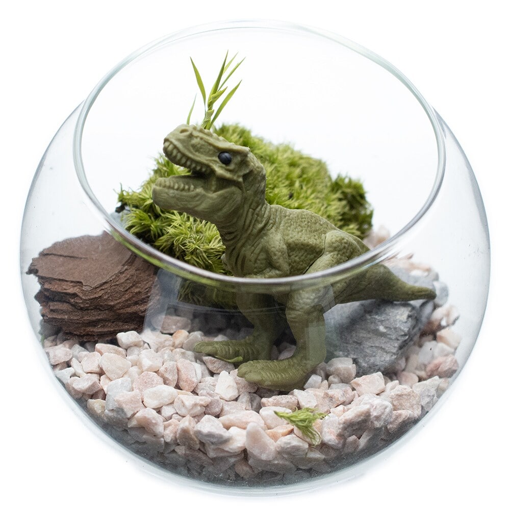 [}C]͂ȂۃeELbg eBmTEX/pbgiPalettej