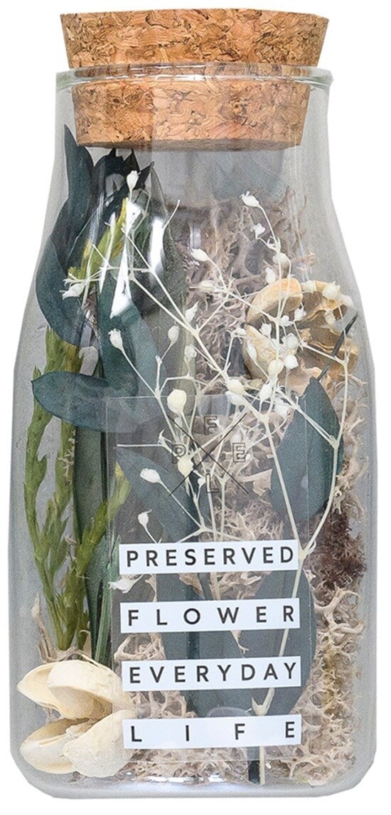 [}C]vU[uht[AWg PFEL {gX ACXhX JtFI/pbgiPalettej