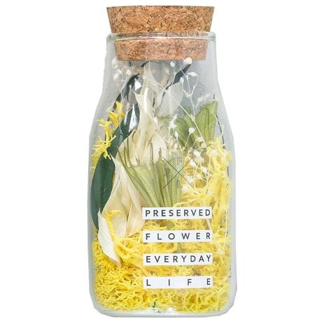 [^:01132OA]yPFELzPRESERVED@FLOWER@EVERYDAY@LIFE~N^{gɋl߂AʂO[J[X̂₳A炵̂΂ɁBƉ~N^{gɁAi`ȕƃJtȃO[AԂɂ₳ANZgYĂ܂BEWt琅łSLb`ʑȂǁAĈꏊłCyɏ܂BÊЂTCYŒuꏊI΂ȂfXNIAƂXy[Xɂ҂BEsṽCeAO[svŁAłԂL[vBƉ؂₮XʂFN₩ȃvU[uht[͓HɂāA܂ŐԂ̂悤ȐXƐFʖLȔ𒷂y߂邱ƂłX̐؂₩ɍʂ܂BuĂ邾ł͕s\Bl͑zARAďȉԂĂȂ΂ȂȂBvbƂ̃AfZĉ悤ɁA̎ゾ炱X̐ʂԂNłAǂłȒPɂȑzPRESERVED FLOWER EVERYDAY LIFE ͐܂܂B