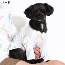 フェロー(FELLOW)のドッグウェア ラッシュガード 犬 ペット 接触冷感 UPF50+ 小型犬 UVカット98％ 速乾