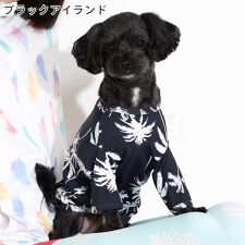 フェロー(FELLOW)のドッグウェア ラッシュガード 犬 ペット 接触冷感 UPF50+ 小型犬 UVカット98％ 速乾