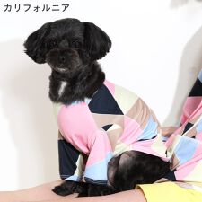 フェロー(FELLOW)のドッグウェア ラッシュガード 犬 ペット 接触冷感 UPF50+ 小型犬 UVカット98％ 速乾