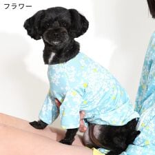 フェロー(FELLOW)のドッグウェア ラッシュガード 犬 ペット 接触冷感 UPF50+ 小型犬 UVカット98％ 速乾