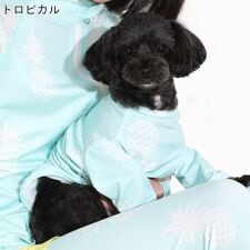 フェロー(FELLOW)のドッグウェア ラッシュガード 犬 ペット 接触冷感 UPF50+ 小型犬 UVカット98％ 速乾