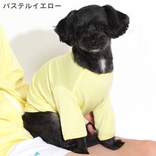 フェロー(FELLOW)のドッグウェア ラッシュガード 犬 ペット 接触冷感 UPF50+ 小型犬 UVカット98％ 速乾