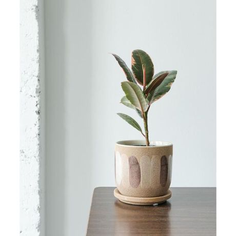 [^ԁF40050-DZ33]MŊGt悤ȃJtȕ炵|ByvȃZ~bNōꂽK[fjOpׂ̔܂B̂悤ȂƂӂAAƃ}b`Ă̂ŁACeAƂĉf܂BʂɌJĂA|bgƓfނ̎󂯎MtĂ̂|CgBԉ≀|XŔAƓ̂ŁAyɐÂ炵ył܂B[]one : a11.5cm ^ 1.8cm i摜́A̓p\RȂǂ̉{ɂAۂ̐FƈقȂČꍇ܂B\߂Bi̐F̖ڈ́AiP̂̉摜QƂB