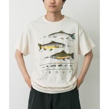 LIBERTY GRAPHICS　Trout & Flies