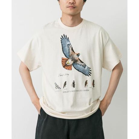 [^ԁFDMA5-S12]uLIBERTY GRAPHICSṽA[gTVcASibleys Red-tailed HawḱAAJImX(Red-tailed Hawk)̎ptB[`[ꖇłBAJ\钹މƁAfCrbhEVu[ɂ鐸ȃCXg`AH΂pIȔ̐Fʂ@ׂɕ\Ă܂B  N[n̏_炩ȐnFi`ŗDۂ^Aו܂ŒJɕ`ꂽA[g[NĂ܂BRbgfނŎdĂĂAG肪ǂAy₩ȒSn񋟁BgAEghAAo[hEHb`OȂǁALV[Ŋ􂵂܂B  ܂AɗDTXeiuȃvg@ōꂽGRth[ȃACełBDȕ⎩Re[}ɂfUCDޕւ̃Mtgɂ߂̈ꖇłByLIBERTY GRAPHICS ^ oeB[OtBbNXz1977NɃAJECBőnƂAkėL̃A[gVNXN[TVc[J[łBnƈȗAɔzt@bVƌ|p\ǋĂA˔\A[eBXgƂ̃R{[VɂAR⓮A`[tɂ|pIȃfUC񋟂Ă܂B̑zvgZp͍Oō]AL.L.BeanORVISƂLuhɂfUC񋟂Ă܂By2025 Spring^Summerzy25SSziɂ萶YقȂꍇ܂Bw̍ۂɓ̐Yw肢Ƃ͂ł܂̂ŁA\߂Bi摜́A̓p\RȂǂ̉{ɂAۂ̐FƈقȂČꍇ܂B\߂Bi̐F̖ڈ́AiP̂̉摜QƂBCɓo^̂߁Cɓo^íA}Cy[WɂČ݂̉i݌ɏ󋵂̊mF\łBXg̊Ǘɐ񂲗pBfފ : ₠Lk : ₠藠n : Ȃ : Ȃ|Pbg : Ȃ