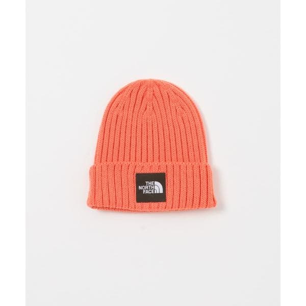 [}C]THE NORTH FACE Kids Cappucho Lid(KIDS)/A[oT[` hA[YiURBAN RESEARCH DOORSj sNn̑