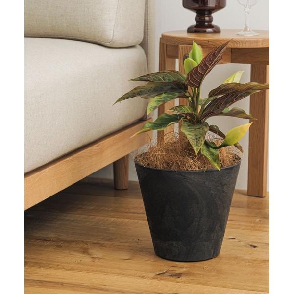 [�}���C]amabro ART STONE S BK/�A�[�o�����T�[�` �h�A�[�Y�iURBAN RESEARCH DOORS�j �u���b�N
