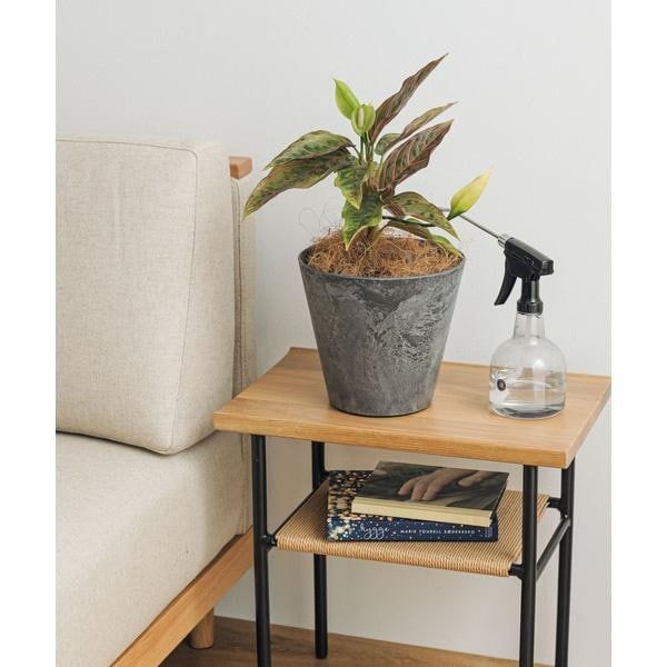 [�}���C]amabro ART STONE S GY/�A�[�o�����T�[�` �h�A�[�Y�iURBAN RESEARCH DOORS�j �O���[