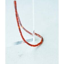 SMELLY so’　carnelian necklace