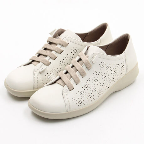 [^:ASC5590]v3E SRp`OXb|OZ[̃SRfATCh̃p`OCȃfUCoBj[AāAƕ̏Ռzfނ̖ʐς2{ȏ̑傫ɂȂ̂ŁANbVAbvĂ܂B