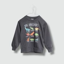 恐竜柄 裏毛トレーナー