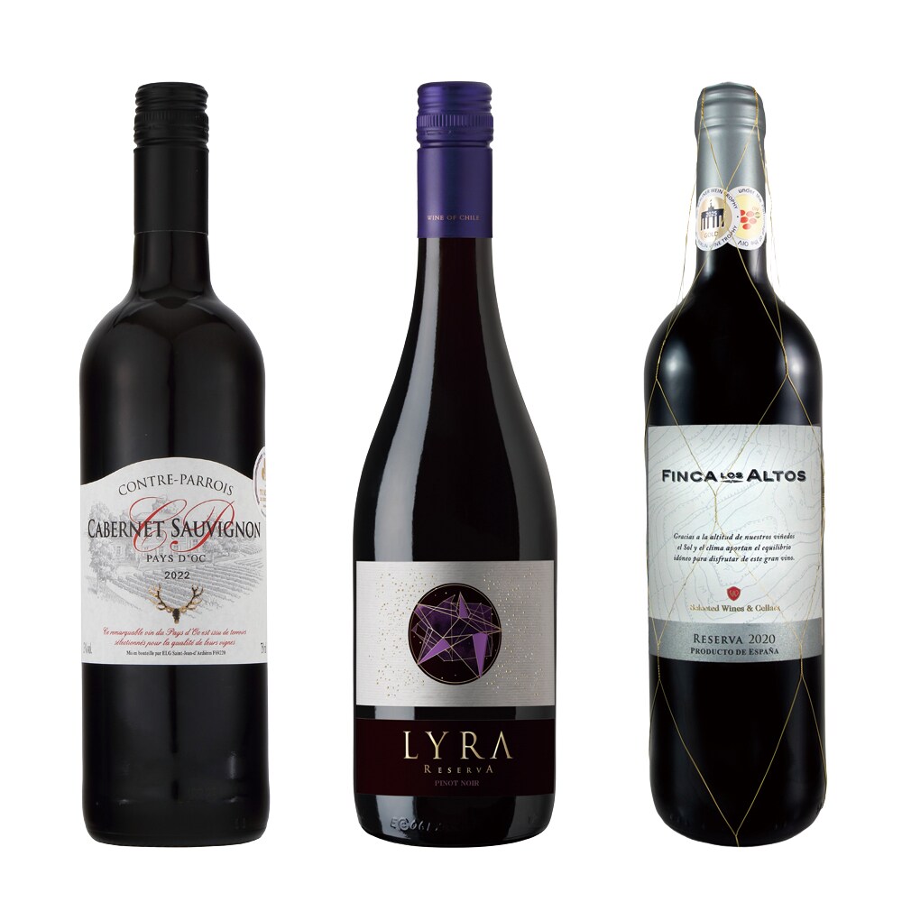 フランス・スペイン・チリ厳選赤3本セット | ビバ ヴィーノ(Viva-vino
