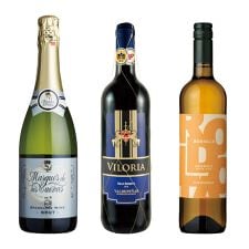 ビバ　ヴィーノ(Viva-vino)のスペイン産厳選赤白泡3本セット