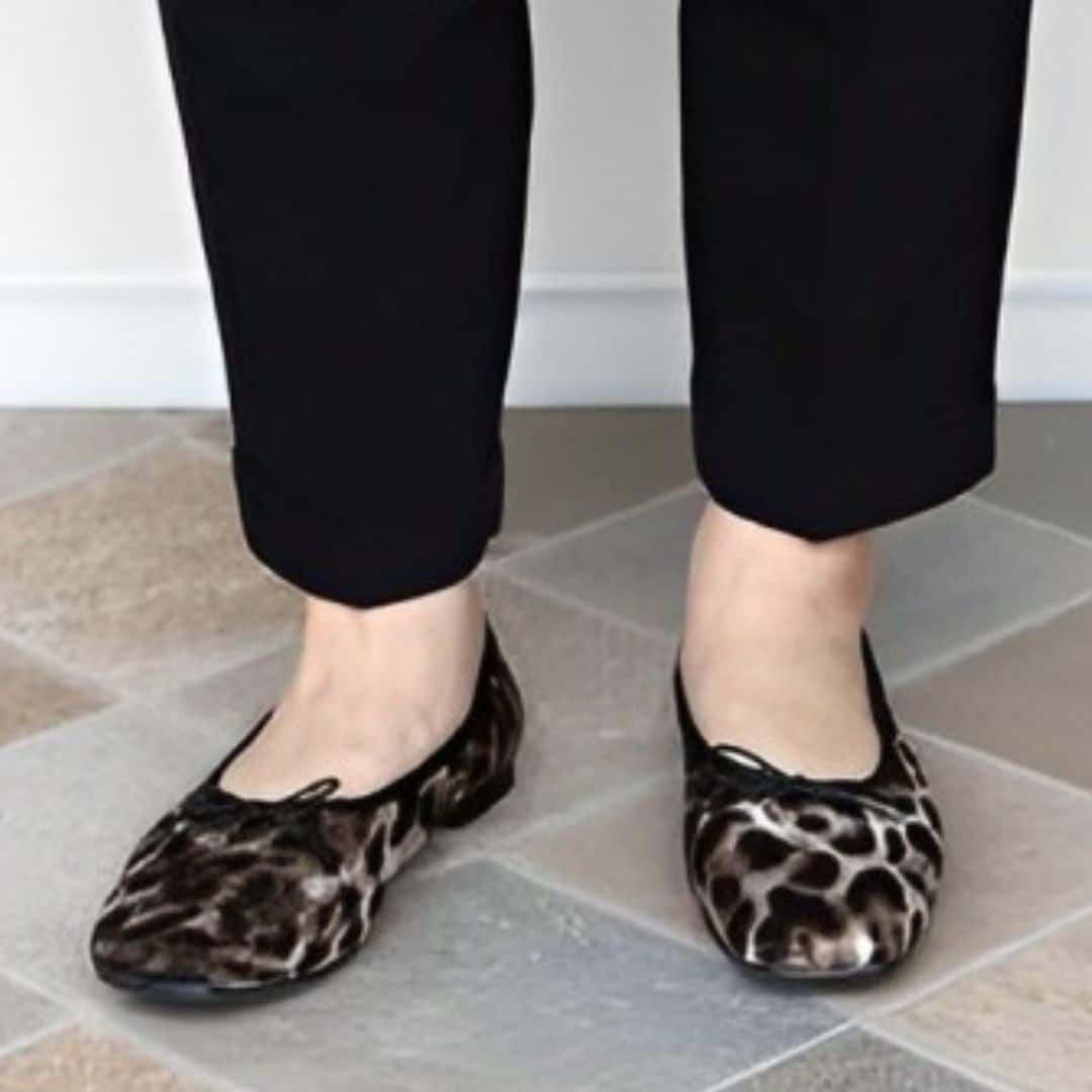 [}C]{ HS Xgb` XNGAgD oGV[Y /GC`GXiHSj Ip[h