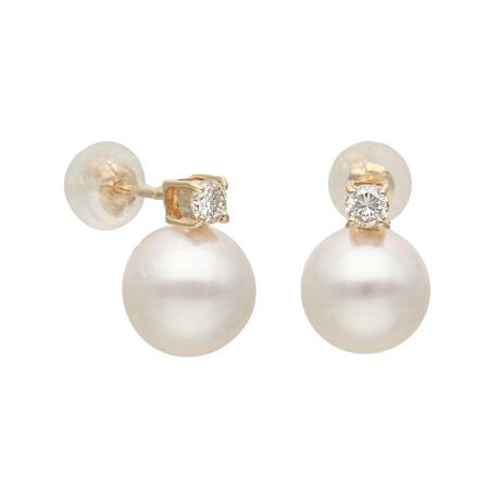 [^:43-1495]iȃAR^~_ChŁAl̏oBVvȃtHɏ㎿ȃARp[YfUCBJWAE[hEVbNEIP[WɂgA劈̖\ACełB