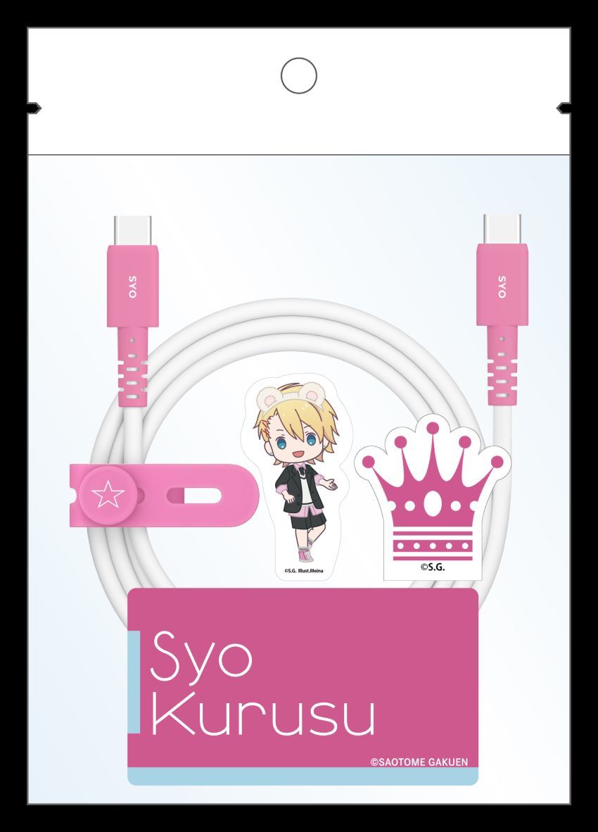 [}C]ývX܂z USBP[u TypeC to C  /AjLN^[ianime characterj