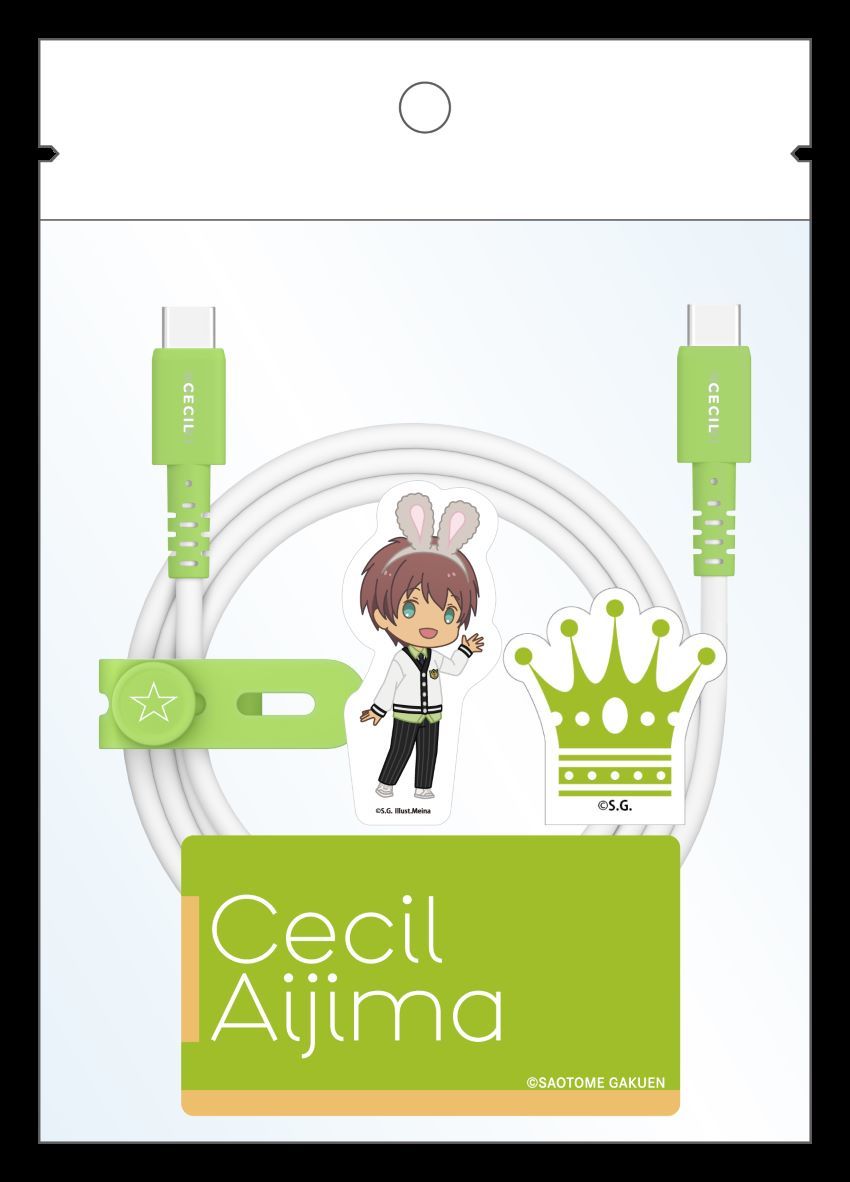 [}C]ývX܂z USBP[u TypeC to C ZV/AjLN^[ianime characterj