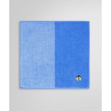 GF スーピマコットン ２パネル ミニタオル