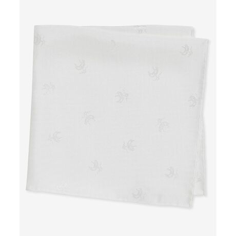 [^ԁFF19440100167051]tH[}p̃|Pbg`[tVNnɃzCgGFiS[f t[Xj}[N{܂B