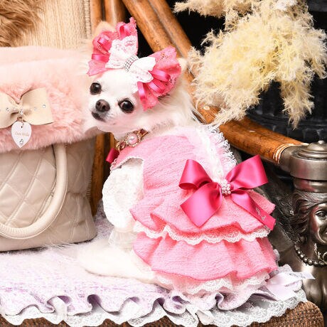 [^:9622]ו܂ґɎdĂꂽAOWA[ȃWp[hXuV[XJ[gvBD낳Ɖ𕹂A؂Ȉɂӂ킵ʂȈꒅłBɂ͍T߂ŏiȏ߂̃{ANVJȕ͋CoBhXŜʂ郌[XtdȂ荇A@ׂȔۗ܂BWp[XJ[ǧɂ͉炵Ԃ̃{^ĂApɂzBE₷AƉK𗼗Ă܂BXJ[g̓MU[Ղ̃_udlŁAтɂӂƗh闧̊̂VGbgɁBwɂ͖ڂ傫ȃTe{{A̒Sɂ̓uh̃CjVuLv߂NX^ŃfUCĂ܂BLOBeAp[eB[AaAuC_oAʂȊOoȂǁAʂȓÂЂƂƂAwĂĂ\\BuV[XJ[gv́A㎿ȃfUCƍוւ̂肪Av~AhbOEFAłBTCY\SSTCYF22~34~23cmS TCYF24~38~26cmM TCYF27~43~30cmL TCYF30~48~34cm