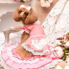 リュクスバーディ(Luxe birdie)のプリシラワンピース