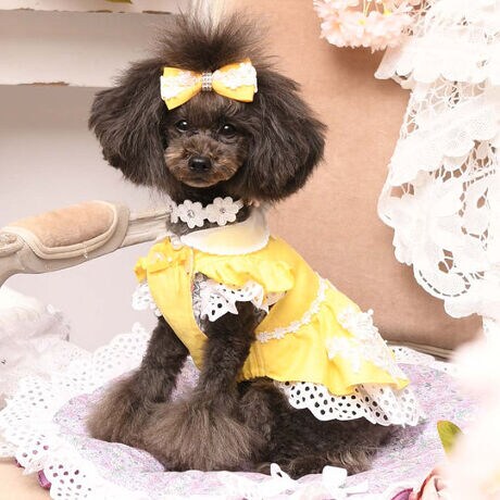 [^:9630]p̂lv킹AiŐ^ȘȂ܂ouvVs[XvBNVbNȕ͋C̒ɁAȉ؂₩ƃOWA[ȋCiYAʂȈꒅłBXJ[gŜɂ͗̊̂t[`[thJӂ񂾂ɂĂAו܂ŒJɎdグꂽRbg[XDȕ\YĂ܂BEGXgCɂ͑@ׂȏԂ̃[X{ARȃnƃNVJȈۂoBɐ`zCg̃XJbv[XӂƗhÂVGbgĂ܂Bɂ͂قǂ悢ӂ݂Aɂ͂Ԃ̃{^炢AÊ₷Ɖ炵𗼗Bwʂׂ̍₩ȃfBe[ɂĂAǂ猩ĂVGbg܂BLOAtH[}ȃCxgAp[eB[AoABeȂǂɈꖇŁglX^ChACiӂ郏s[XB@ׂȎhJƏ㎿ȑfނŎdĂuvVs[Xv́AɓʂȔYĂ郉OWA[ȈiłBTCY\SSTCYF21~34~23cmS TCYF24~38~25cmM TCYF27~42~29cmL TCYF30~47~33cm