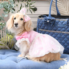 リュクスバーディ(Luxe birdie)のラフィネドレス