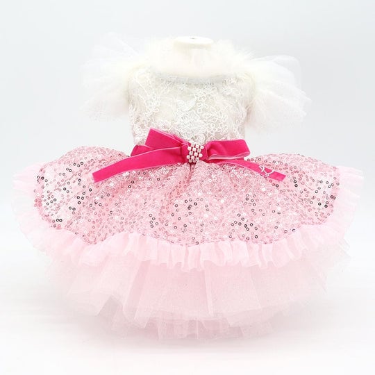 [}C]VEXhX/NXo[fBiLuxe birdiej sN MTCY