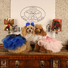 リュクスバーディ(Luxe birdie)のシリウスドレス