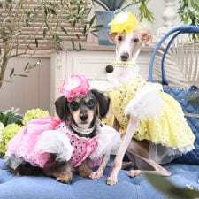 リュクスバーディ(Luxe birdie)のリラワンピース