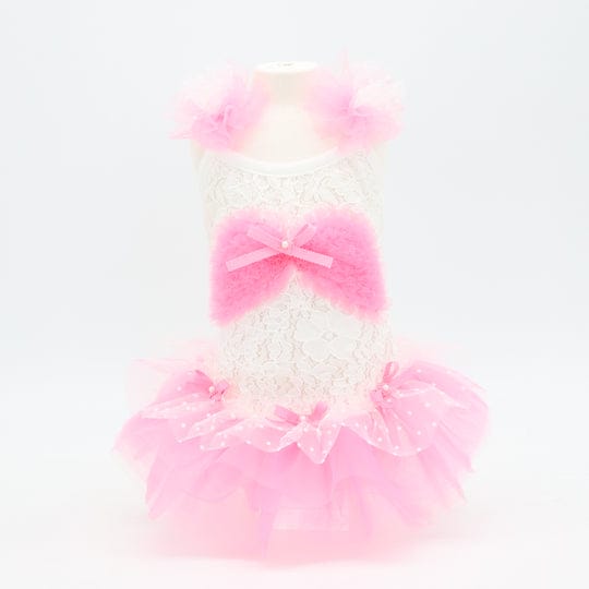 [}C]VeL~\[/NXo[fBiLuxe birdiej sN STCY