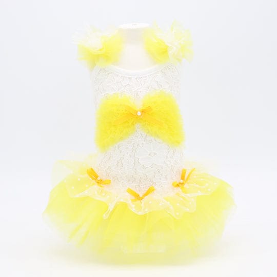 [}C]VeL~\[/NXo[fBiLuxe birdiej CG[ SSTCY