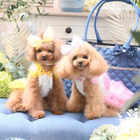 [^:9657]ӂ`[ƃ[XAĔwɂ͈炵H\\y₩Ńt@^WbNȈۂ܂ƂA؂₩ŃL[gȁuVeL~\[vB{fBɂ͏_炩Lk̂㎿ȃ[XngpAKȒSnƗDȃtBbgBXJ[gɂ͑N₩ȃJ[̃`[ƁA@ׂȃhbg`[dˁAӂƍL闧̊̂VGbgɎdグ܂Bwɂ͂ӂӂ̃`[łǂH炢A܂ŋ𕑂d̂悤ȉȌpɁBɂ̓{[̂`[̃{{AOɓdlŃ|[Y\ɍ킹AWy߂܂Bڂ䂭J[ƌy₩ȑfފŁAۗꒅłBoABeAp[eB[Ã|CgR[fɂw̉HAʂȉ̏؁BuVeL~\[v́Ay₩ɕVĝ悤Ȗ͂oAƂẴL~\[łBTCY\SSTCYF21~32~23cmSTCYF24~36~26cmMTCYF27~40~29cmLTCYF30~45~33cm