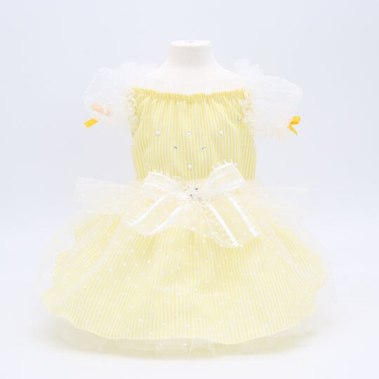 [}C]AGbgs[X/NXo[fBiLuxe birdiej CG[ LLTCY