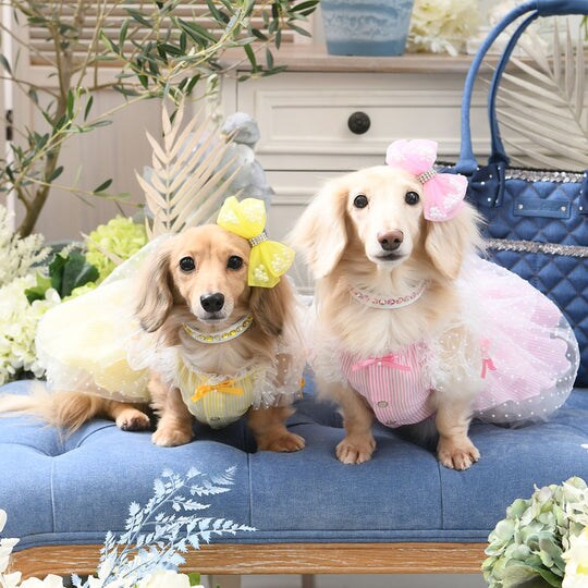 Luxe birdie リュクスバーディ ロズレドレス M 🌟, Luxe birdie