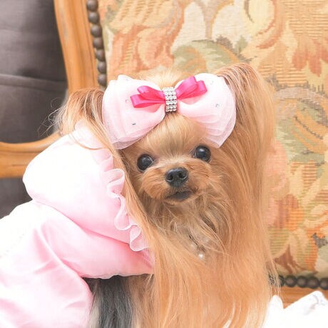 [^:9425] K̖hADȂЂƂ Luxe birdieu{k[ob^v́A㎿Ɖ˔ACiӂwAANZT[B@ׂȌI[KW[ƃTe{dɂdȂA_炩ӂޗ̃tH𐶂ݏo܂Bɂ́AWG[̂悤ɋPrW[6΂炢A󂯂ęzƂ݊܂Bɂ̓Xg[𒚔JɎU΂߁A@ׂȂ߂ƍvXB܂ŕ̃V[̂悤ɉfA܂Ɂĝ߂̃{hłBp[eB[BeATdグ̑ɁBaLOƂʂȓ̑ɓYāA܂ƂŊiʂ̉؂₩ƗD낳o܂B܂ALuxe birdieȂł͓͂̂ɂBob^ɂ́A₳fނgpB@ׂȔтɂSȂAԂ̒płKɉ߂܂BƋ@\˔A^̃OWA[ANZT[B{k[̖ɂӂ킵PAɂƓYāByîm点z̏i2025N925牿i{Ă܂B͂鏤iɂĂ^Oȉꍇ܂ݕ\ĂTCg\i̔iłB \߂܂悤A肢\グ܂B