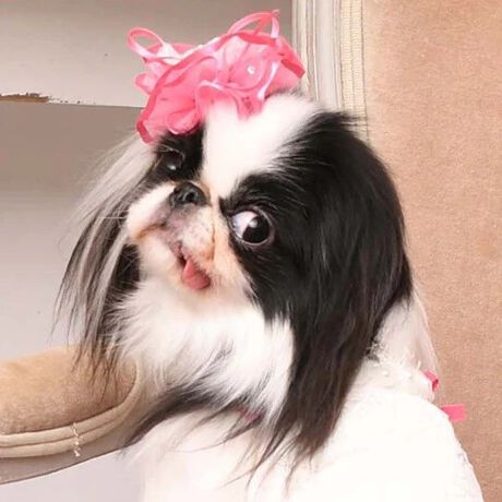 [^:9465]uVF2ob^v́ACiƑ@ׂɂ߂AOWA[ȃwAANZT[łB_炩ȌTeŉꂽI[KW[tAdɂdȂԂт̂悤ɗ̓IȃVGbg`A܂ňւ̍MȉԂ炢̂悤ȑ݊BɂꂽrW[DȋPYAɈẘi炵܂ByɂLuxe birdieIWi̎ob^p[c̗pB@ׂȔт₳ݍ݁Aƃz[hȂAKȂSn܂Bdɂ݂̐SzȂAւ̎v肪߂ꂽłBtH[}ȏʂł̃hXX^C͂ABeHȂǁAʂȃMtgɂӂ킵iBJȎdĂƏ㎿ȑfނDȂABꖳ̍BuVF2ob^v́AƂ̓ʂȎԂɔAʂȂ̂ɂĂwAANZT[łB