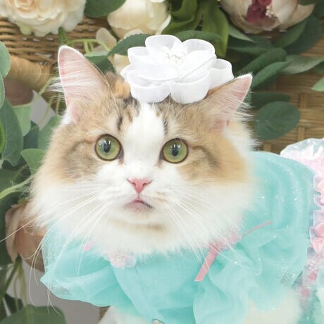 [^:9797]uuAob^v́AOWA[Ƒ@ׂ˔Aʂȓʂɂӂ킵wAANZT[łBӂƗDLԂт́Aƌy₩㎿ȃI[KW[fނŒJɎdĂĂA܂Ŗ{̉Ԃ炢̂悤ȗ̊Ƒ݊o܂Bɂ́Âp[JbgrW[oX悭zuĂAiȋPŖڂ܂BԂт̉ɂ́A@ׂȃp[[{ApxɂĂق̂Ɍ󂯂ċPAl̎RƎ䂫܂BJ[͈炵ƋCi炩ȐFŁAǂȖѐFɂ悭f܂BDȈۂ^fUCȂ̂ŁAtH[}ȃV[͂ALO̎BeʂȂoAj̐ȂȂǂɂ߂łBɂ́ALuxeƎ̃ob^̗pBтD݂ލ\ŁAEL̑@ׂȔɔzAɂ݂ɂfނgpĂ܂BڂłȂAKȂSnɂ݌vłBuuAob^v́A̓ɉ؂₩YƓɁA؂ȂЂƂƂʂɉoĂAGKgȃANZT[łBÑX^C߂̕ɁAЂ߂iłB