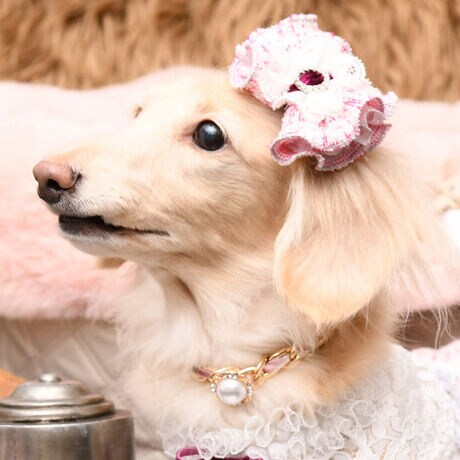 [^:9440]uVF[klbNXv́A܂ŃI[gN`[̂悤ȋCiAOWA[ȃANZT[łB₩ȃS[h`F[ɁA㎿ȃ{D荞݁ANVbNŐꂽۂɎdグ܂Bɂ͑嗱̃p[rW[A̎͂芪NX^߂A؂₩ƃGKXwĂĂ܂B̉ɂĂ߂rW[A܂ŃWG[̂悤ȑ݊Al̖ڂ䂫܂BTCY\ȃAWX^[tŁA̎񌳂ɂ₳tBbgByʂłȂ炵ƂŁȂʂȓ̃X^CO܂ŕLg܂BOWA[zeł̑؍݁AtH[}ȃCxgAjfBi[LOBeȂǁAɂV`G[VBǂɂĂڂʂȑ݂ƂĉoĂł傤B㎿ŐꂽuVF[klbNXv́ADȎԂɉ߂؂Ȉւ̑蕨ƂĂœKȈ{łBt@bVƕii˔ABꖳ̃OWA[ȃANZT[łB