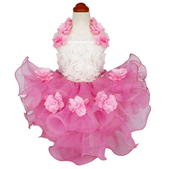 [}C]YhX/NXo[fBiLuxe birdiej sN SSTCY