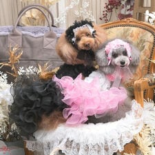 リュクスバーディ(Luxe birdie)のロズレドレス