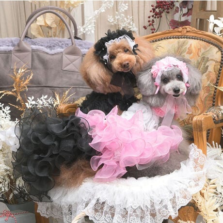 [^:9663]ӂƕオԂт̂悤ɁBтɁAȂ߂炫ڂ\\B}eBbNŃOWA[ȘȂ܂Aʂȓ̂߂̃hXuYhXvBXJ[g̓EF[ûI[KW[ґɏdˁA܂ŉԂт炪悤ȗ̊ƃ{[oB̂Ԃ́Â悤ɂ߂`[̂AтɃXJ[gɂ΂߂ꂽXg[𔽎˂܂Bgɂ͗̓Iȃt[`[tAʂ猩Ƃ܂ŃlbNX̂悤Ɏ񌳂܂Bǂ猩ĂAꂽVGbgŁAȑ̂ɂYiȎdẮA܂ɃOWA[̋ɂ݁B{[̂VGbgȂAy₩ȑfގgŒSn₳AtBbg钚JȎdāBaALOAĂ΂ABeAuC_CxgAOWA[p[eB[Ȃǂ̈ꒅŁAԂ̗d̂悤ȋCiƑ݊\\BuYhXv́AȂ̈DŉȃvZXɎdĂAɏ̃hXłBTCY\SSTCYF21~32~25cmSTCYF24~36~29cmMTCYF27~40~33cmLTCYF31~45~37cm