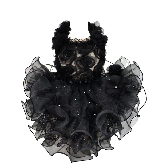 [}C]YhX/NXo[fBiLuxe birdiej ubN SSTCY