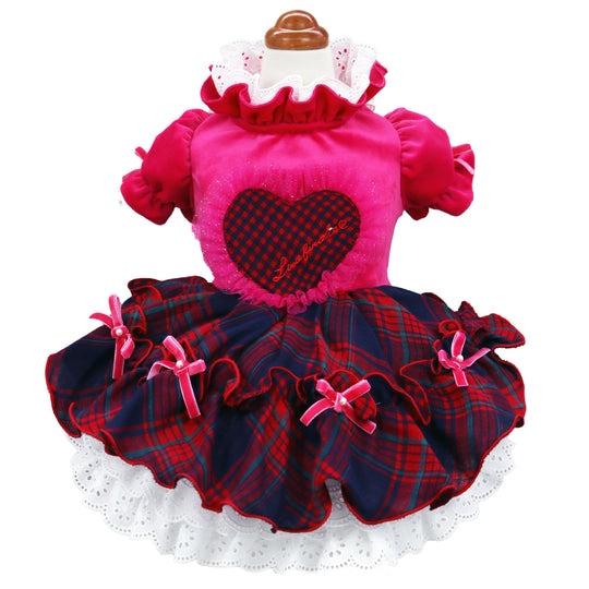 [}C]ACis[X/NXo[fBiLuxe birdiej sN SSTCY